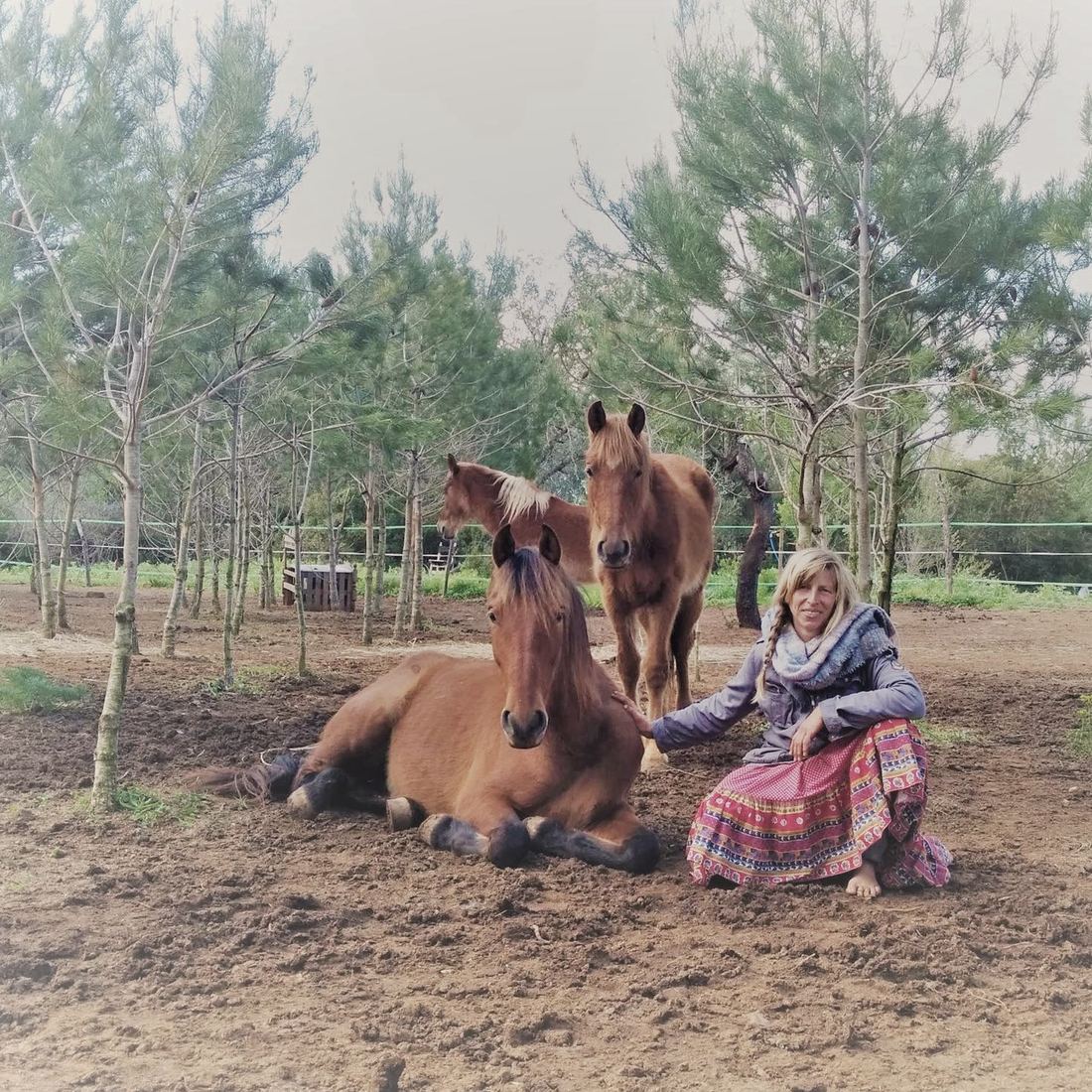 Marzena sits barefoot on bare earth among young pines, her hand on a brown horse lying beside her, two chestnut horses standing behind.