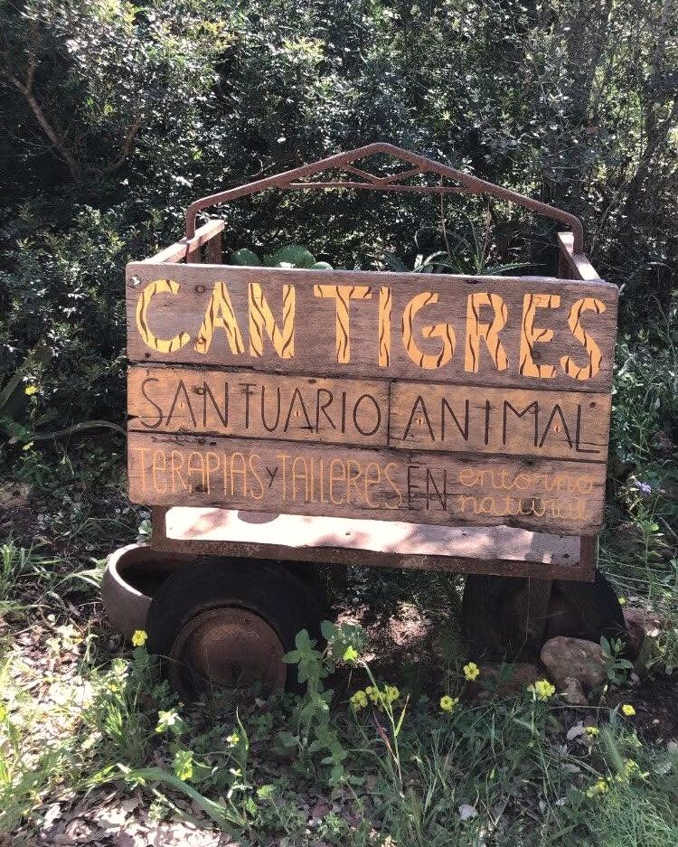 The sanctuary's sign, painted on the side of an old wooden cart: CAN TIGRES in orange letters striped like a tiger, and below it Santuario Animal.