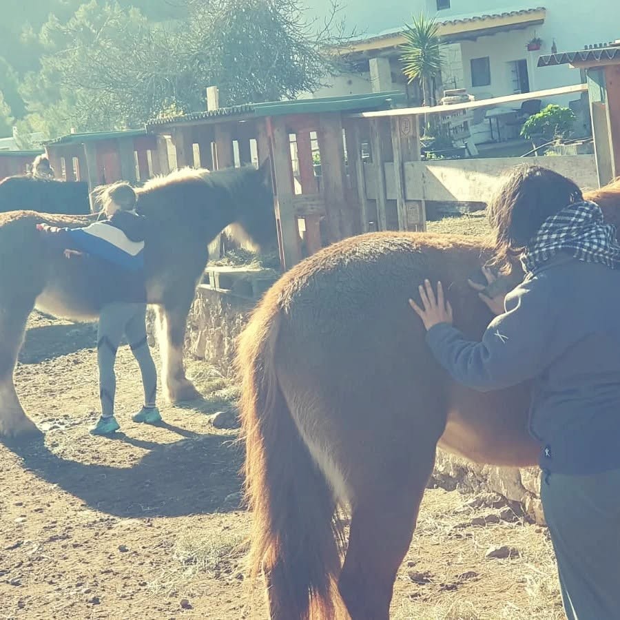 Two people brushing two chestnut horses in the low winter sun, beside wooden stables and a whitewashed house.