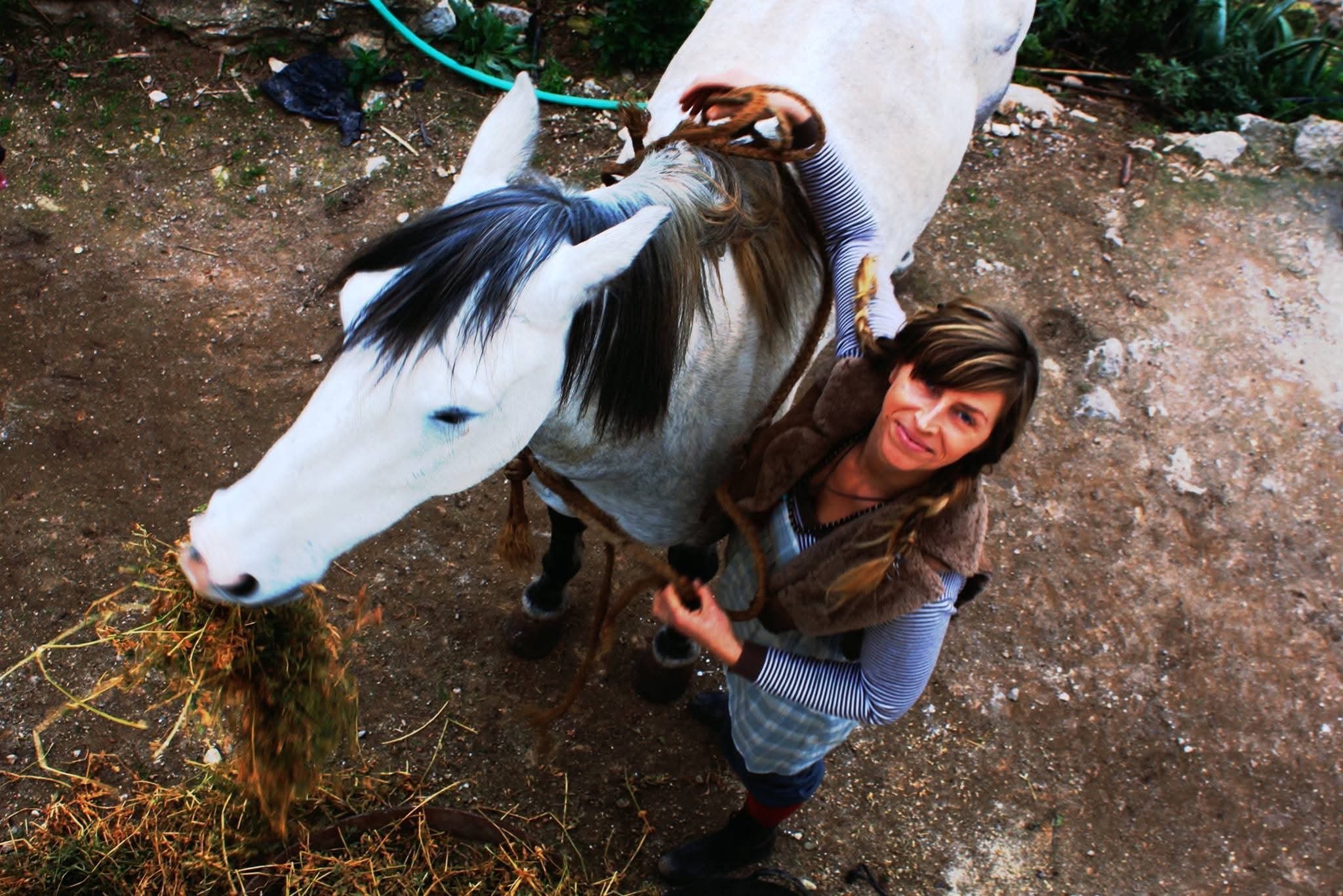 Seen from above, Marzena stands beside Daj Buzi, a young white horse with a dark mane, one hand on his back, while he eats hay from the ground.
