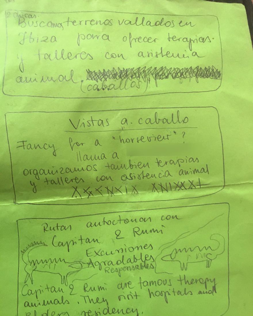 A handwritten green flyer in Spanish looking for fenced land in Ibiza to offer therapies and workshops with animal assistance, and offering horse walks.