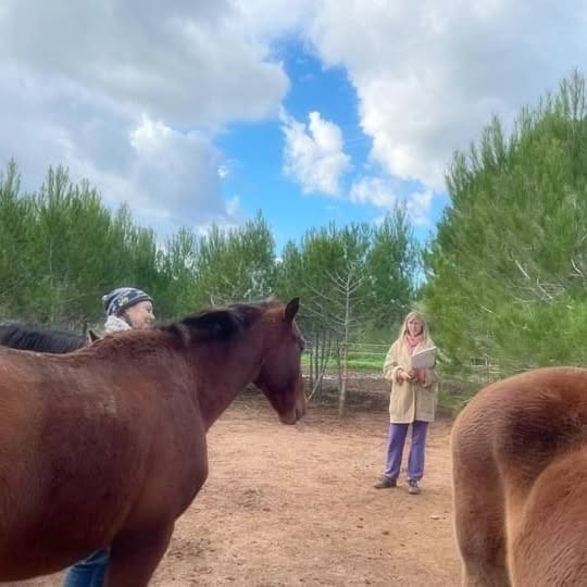 In a sandy paddock among pines, a woman with a notebook stands a little apart and watches, while a participant in a woolly hat stands with two chestnut horses.