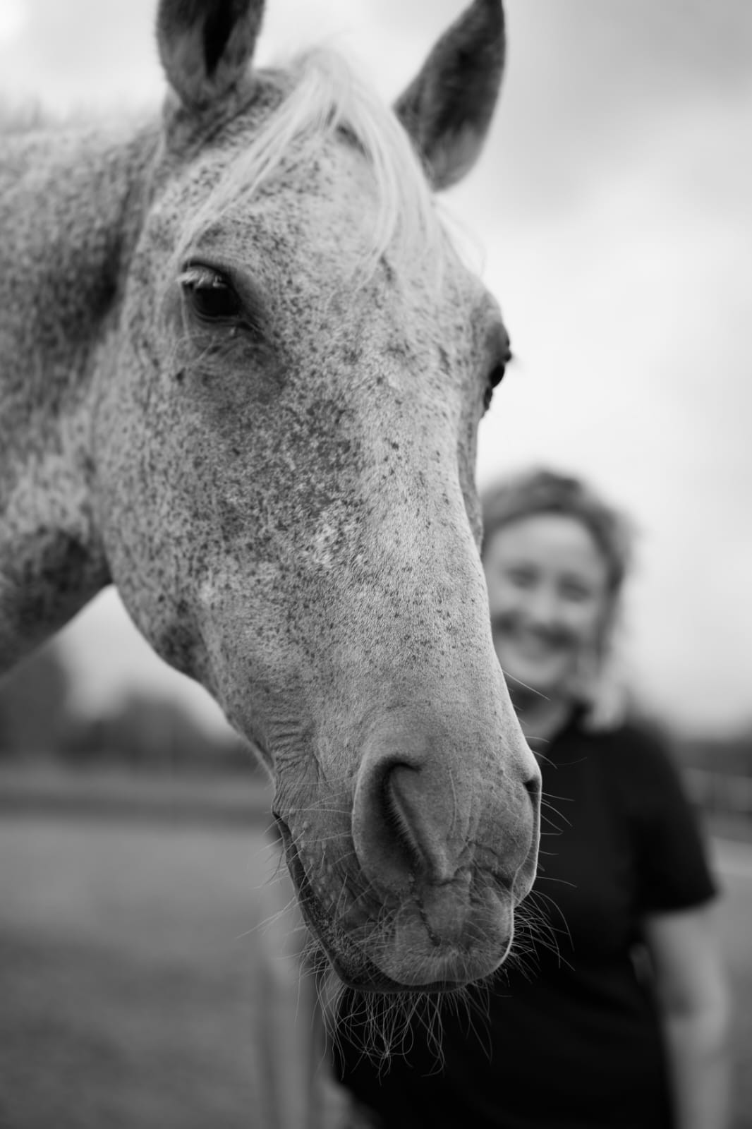 Black-and-white photo: a dappled grey horse looks into the camera, and behind it Joke smiles, out of focus.