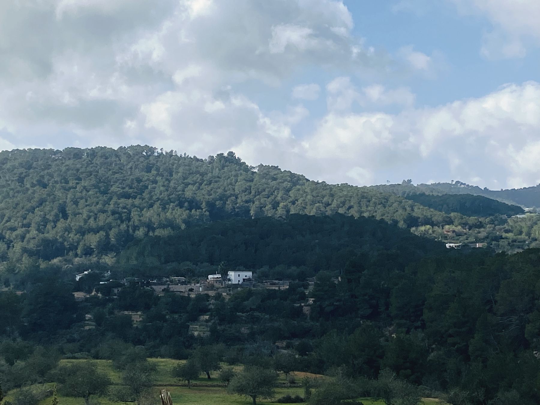 Pine-covered mountains rise above a green valley of fields and almond trees, a few white houses tucked among the trees.