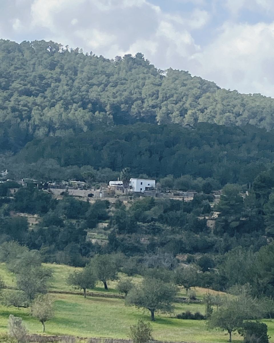 A white finca on a hillside beneath a pine-covered mountain, terraced fields and almond trees in the green valley below.