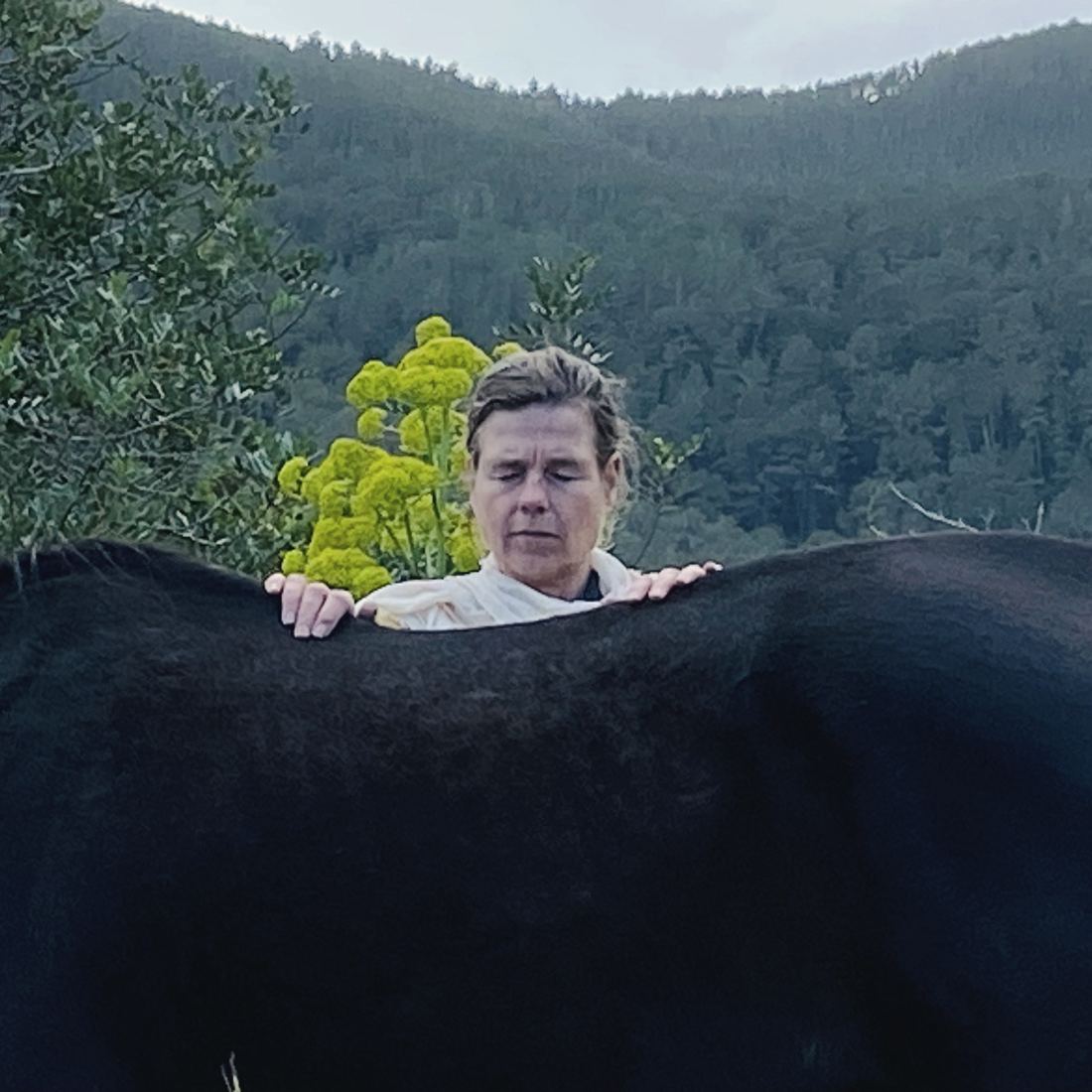 A person stands still with forearms resting across the back of Padre, a black horse, eyes lowered, pine-covered hills behind.