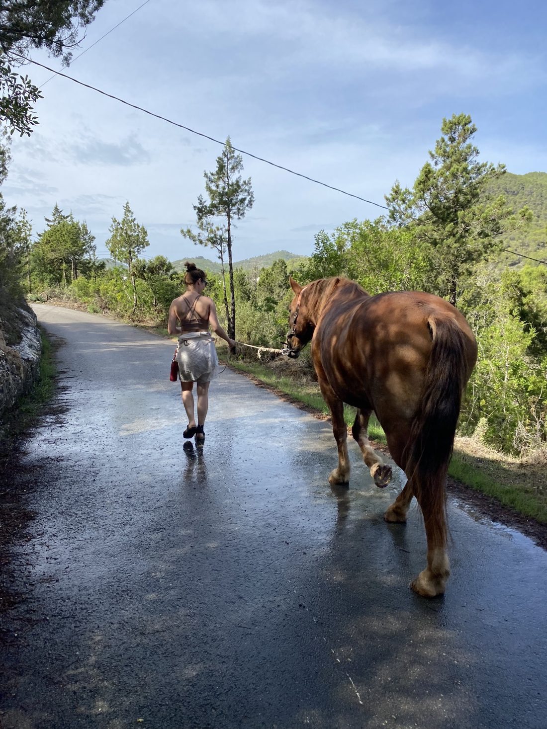 Seen from behind, a woman walks with Shanti, a chestnut mare, along a country road still wet from the rain, pines and green hills ahead.