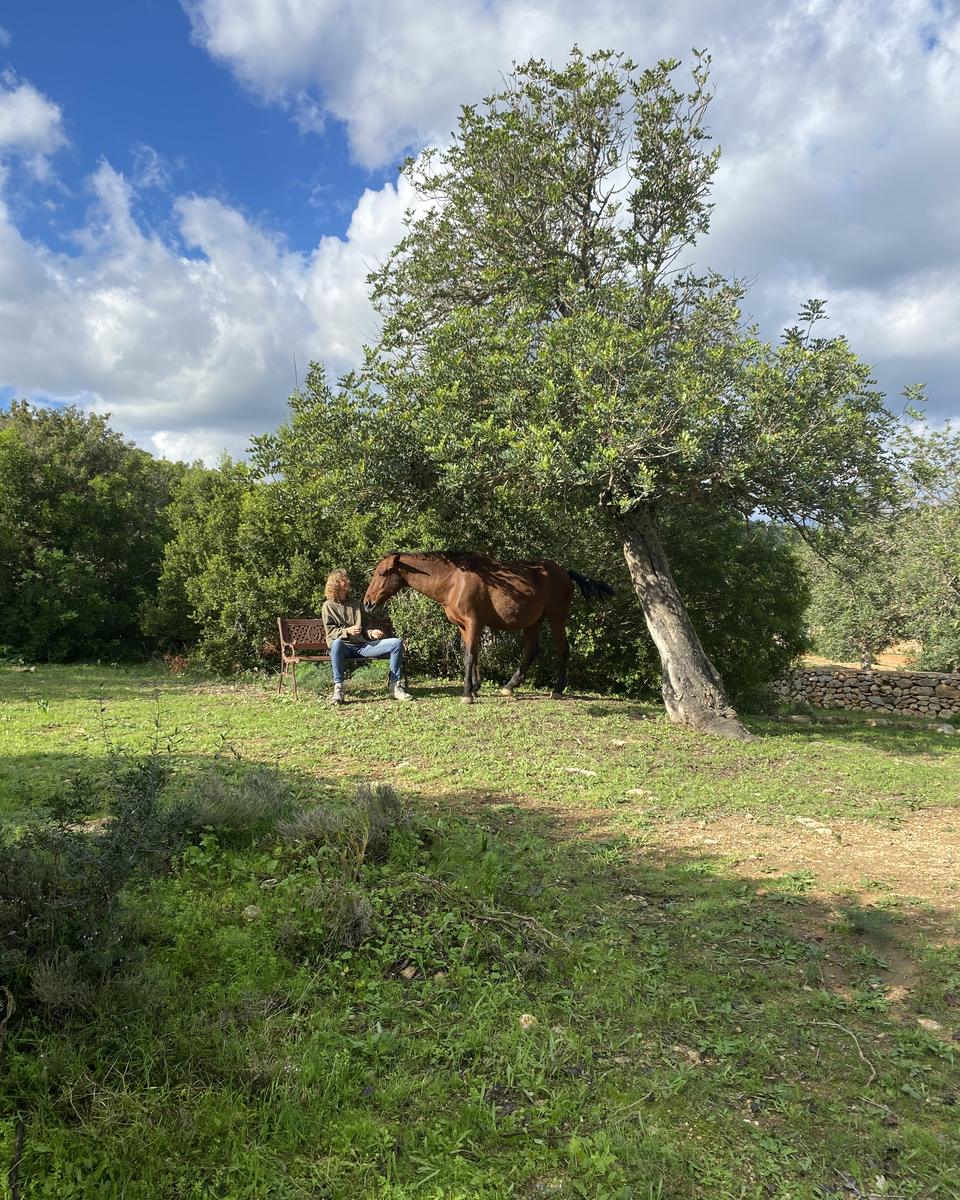 A woman sits on an iron bench under a carob tree while a bay horse stands close and lowers its head to her, green field and a dry stone wall behind, clouds above.