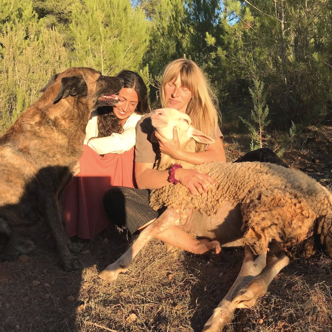 Marzena and her friend Ale sit on the ground in evening sun, a brindle dog beside them and a sheep resting across Marzena's lap.