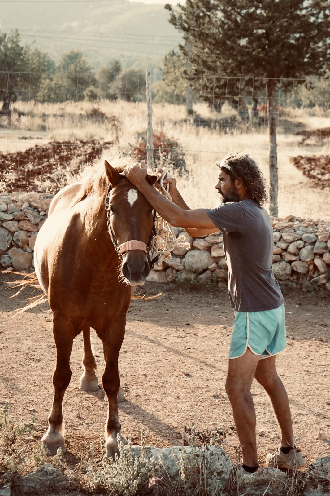 Xabi, curly-haired and bearded, gently holds Shanti, a chestnut mare with a white star, by the head, a rope halter in his hands, on red earth in front of a dry-stone wall and pines.